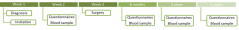 Click for enlargement: outline of the course of the research Click for enlargement: outline of the course of the research