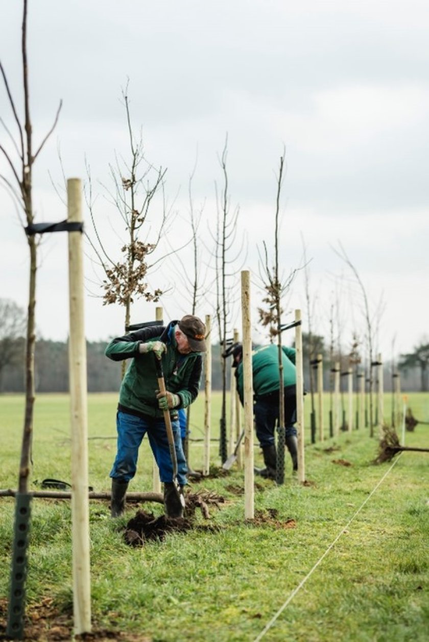 Foto 4: Houtwal 2.0 (foto Anouk Hemmink).