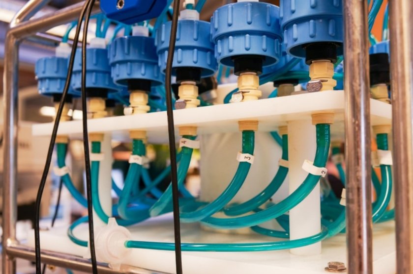 Photo: Marleen den Hartog